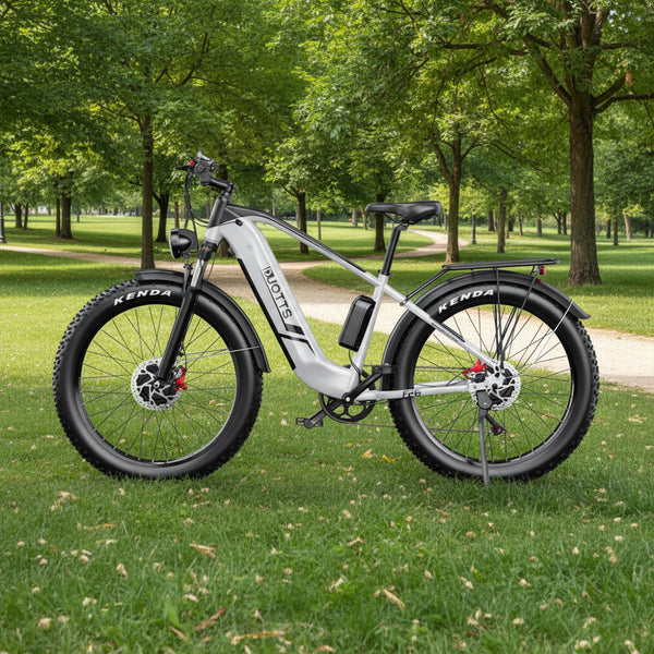 Vélo électrique DUOTTS F26