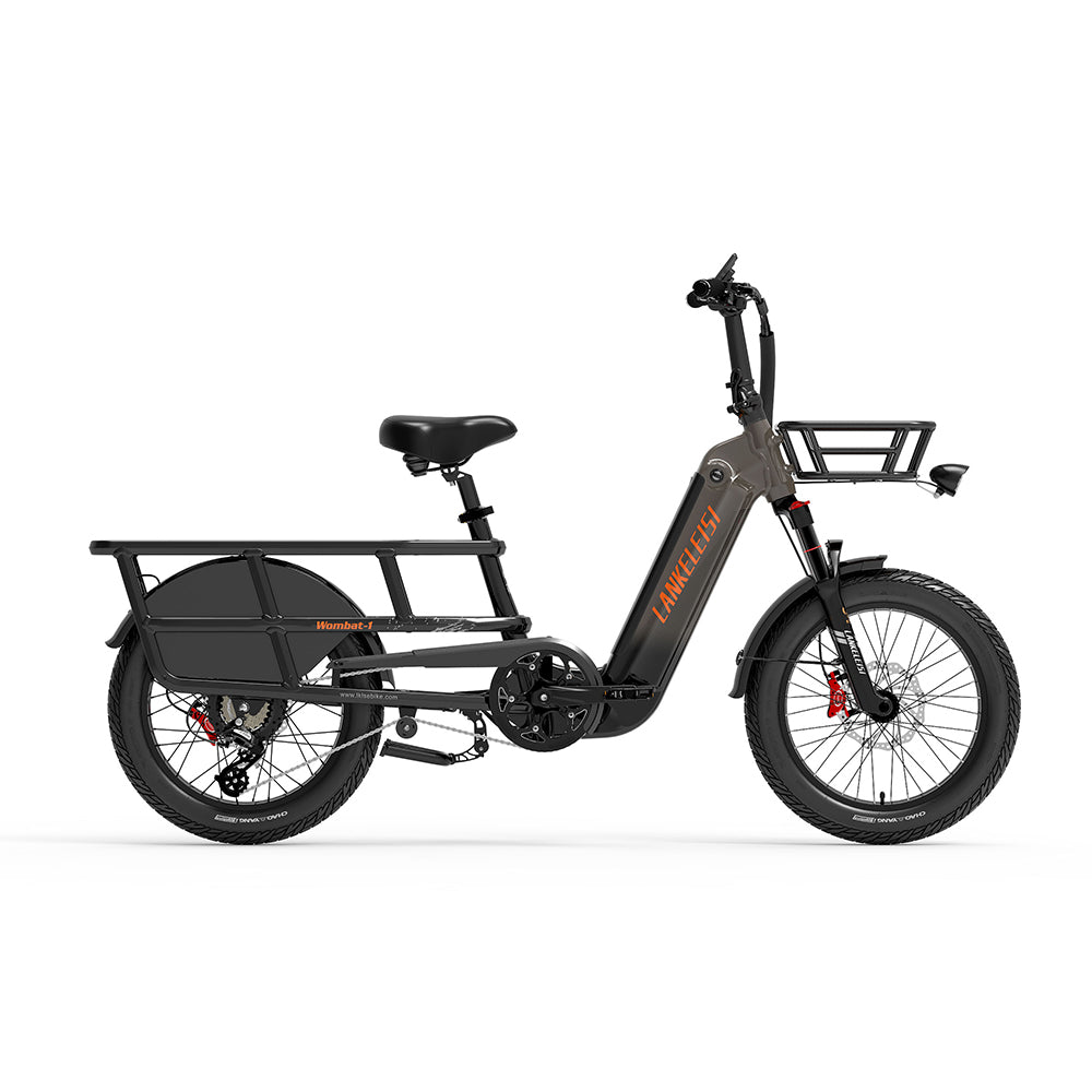 LankeLeisi Wombat-1 Electric Bike – Ridenue1