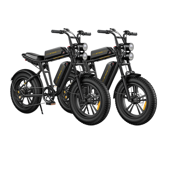 ENGWE M20 Electric Bike