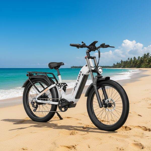 Vélo électrique PULUMA PE97