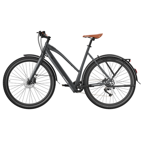 Fafrees F700W Electric Bike