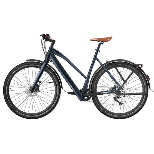 Fafrees F700W Electric Bike