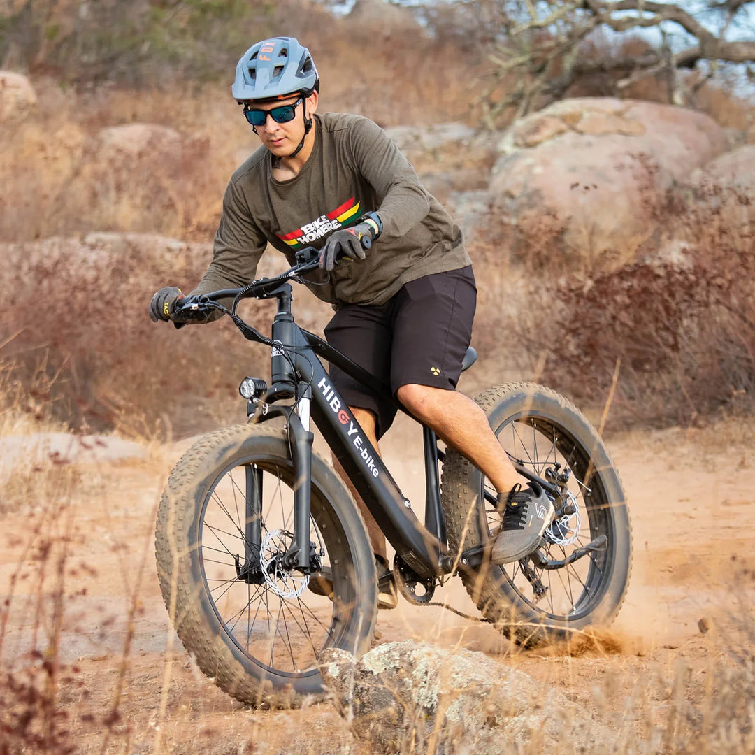 Fat Tire e-Bike