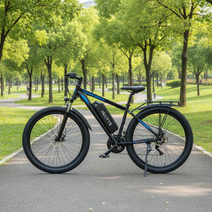 DUOTTS C29 Electric Bike