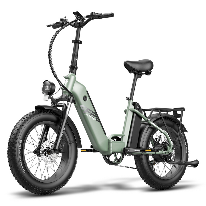 Fafrees FF20 Polar Electric Bike