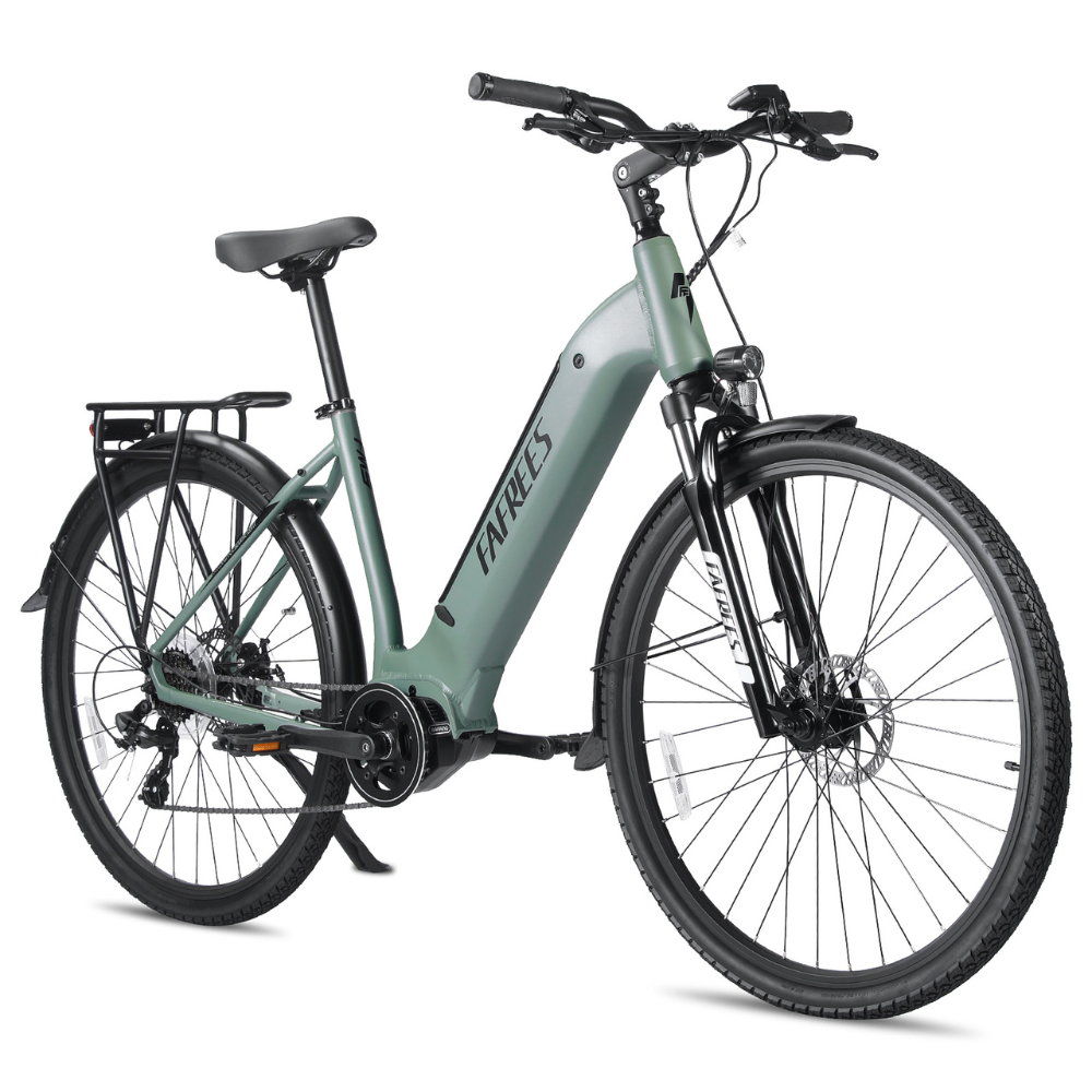 FAFREES FM9 Electric Bike