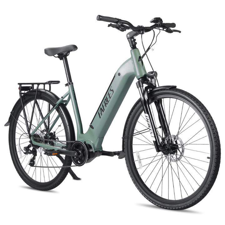 FAFREES FM9 Electric Bike