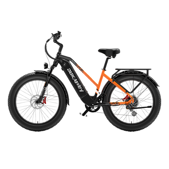 LankeLeisi Dukawey DM530 Plus elektrische fiets 