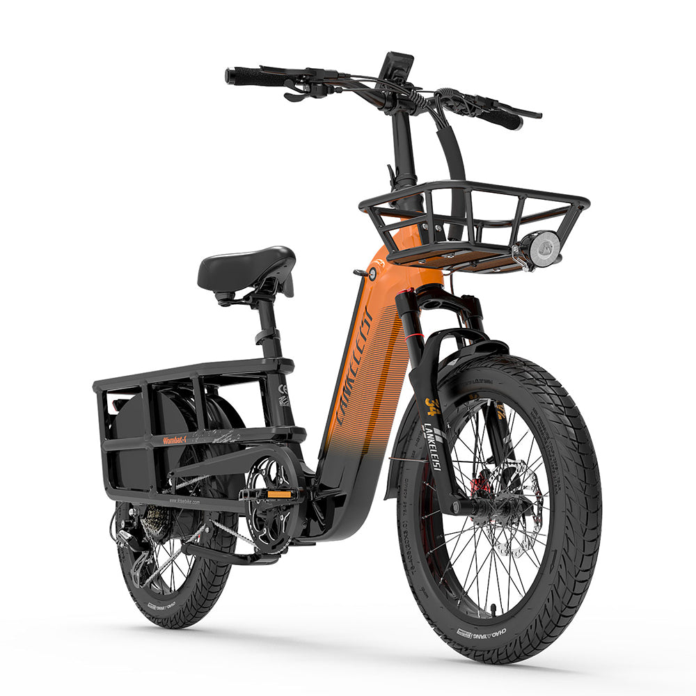 LankeLeisi Wombat-1 Electric Bike