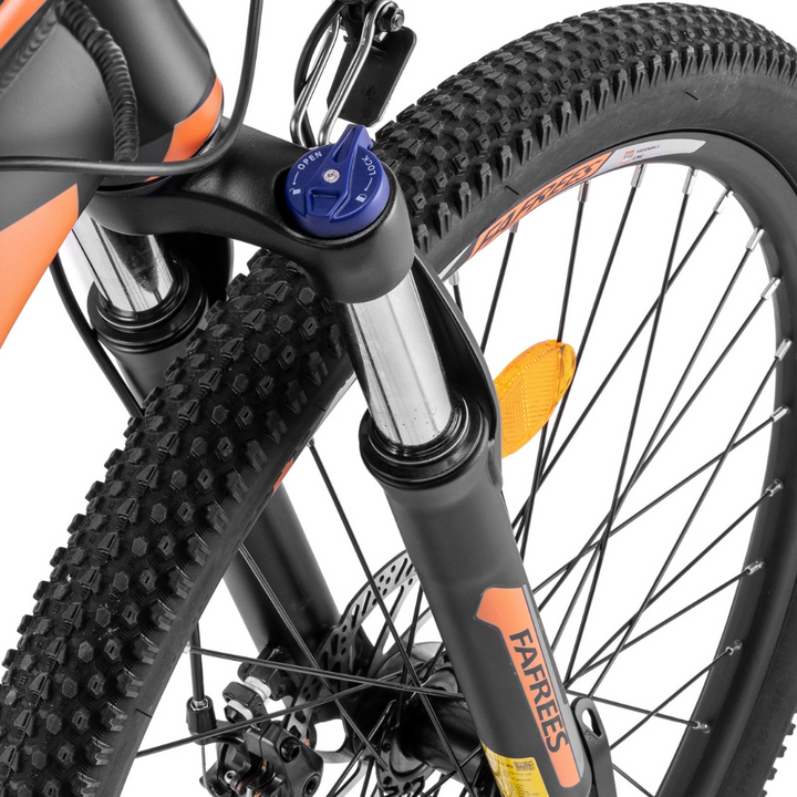 Fafrees Hailong One Electric Bike