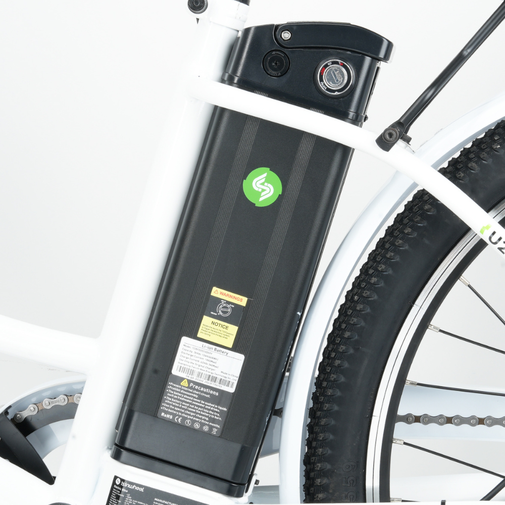 isinwheel U2 Electric Bike