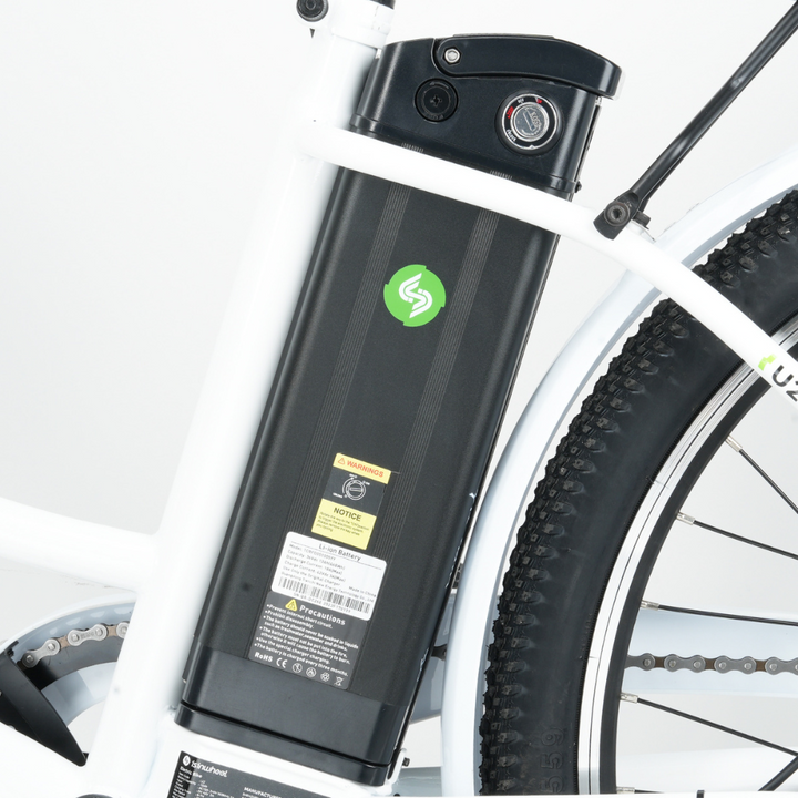 isinwheel U2 Electric Bike