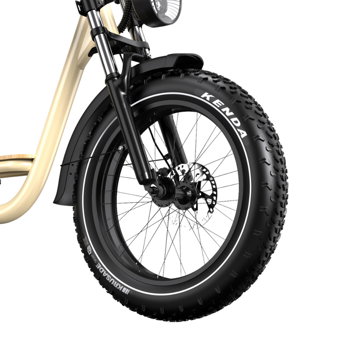 ONESPORT EBIKE W77