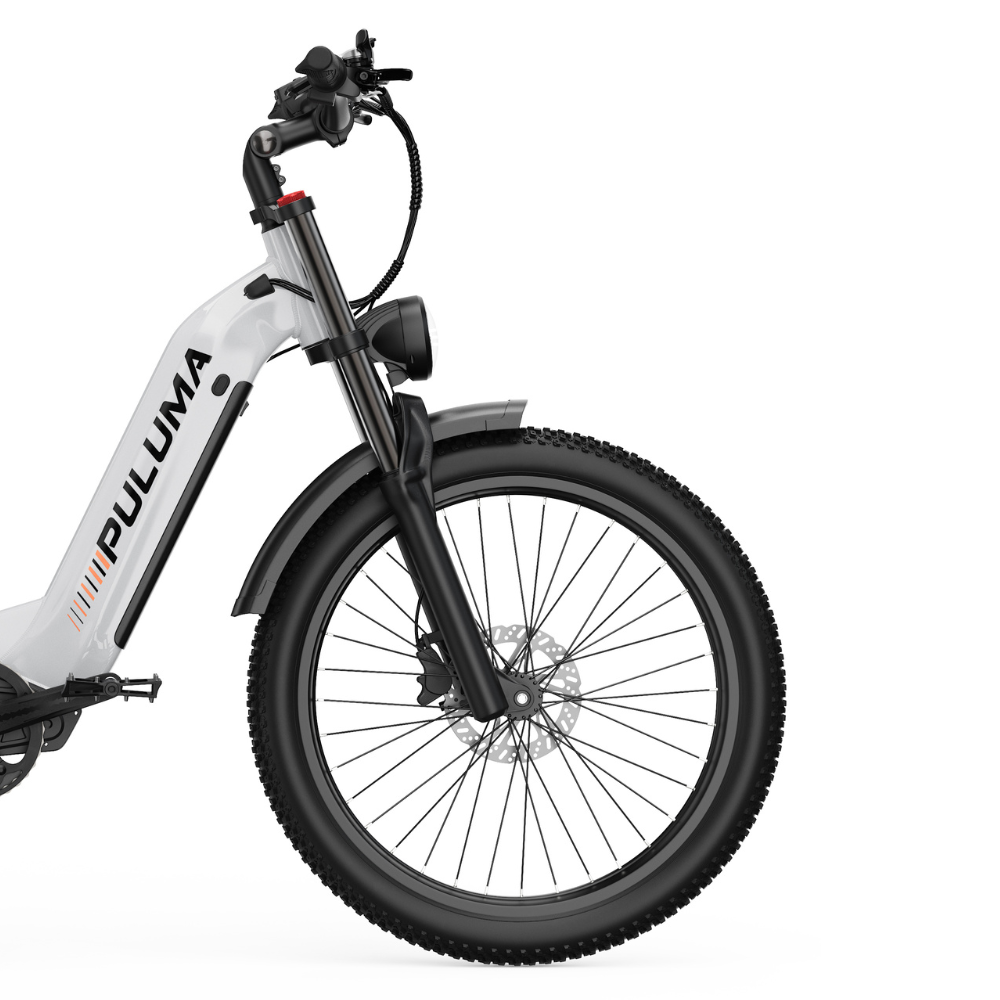 PULUMA PE97 Electric Bike