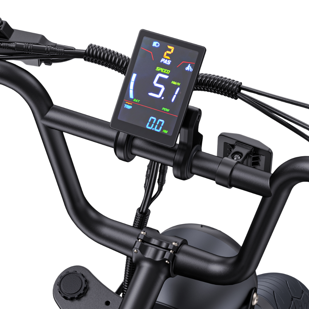 ENGWE M1 Electric Bike