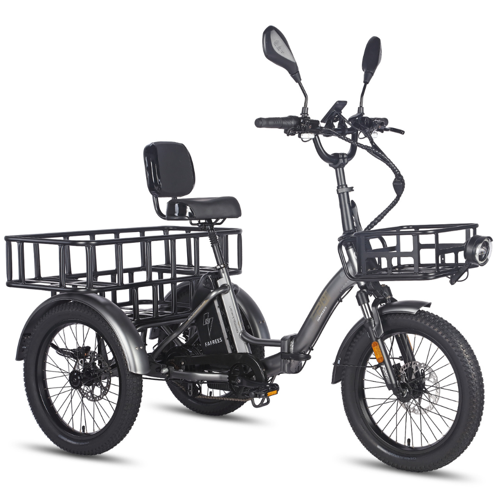 Fafrees F20 Mate Electric Bike