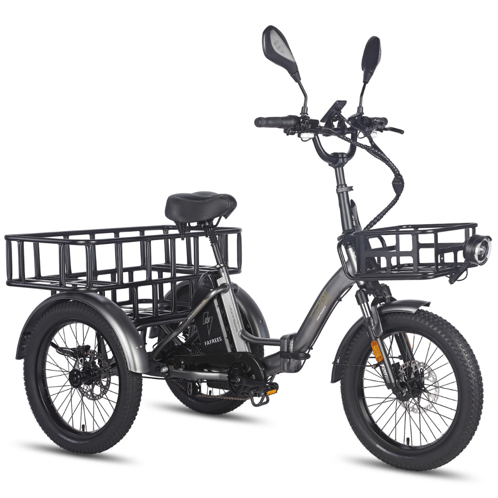 Fafrees F20 Mate Electric Bike