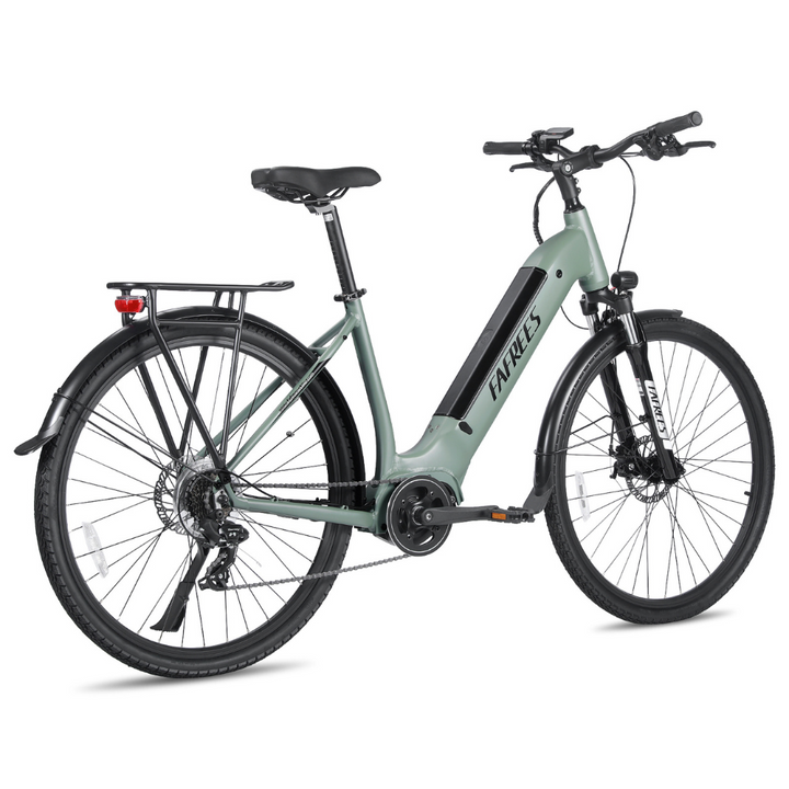 FAFREES FM9 Electric Bike