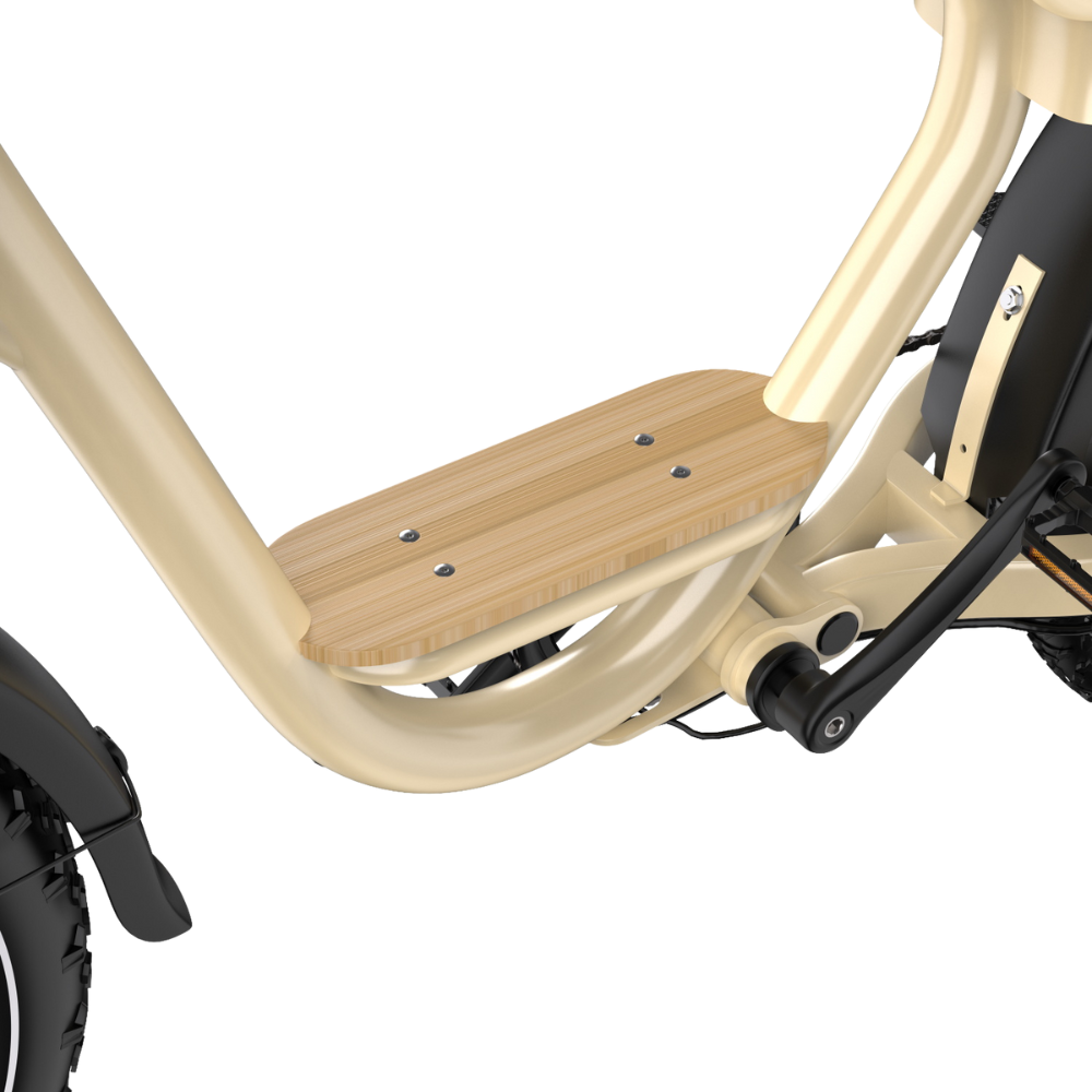 ONESPORT EBIKE W77