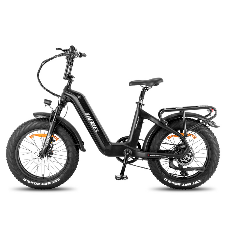 Fafrees F20 Master Electric Bike