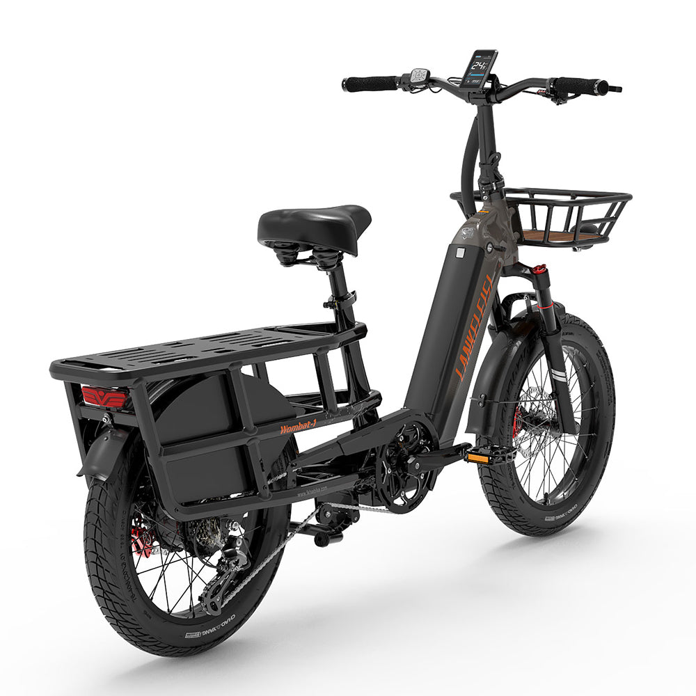 LankeLeisi Wombat-1 Electric Bike