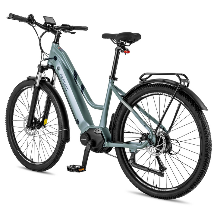 Fafrees FM8 Electric Bike