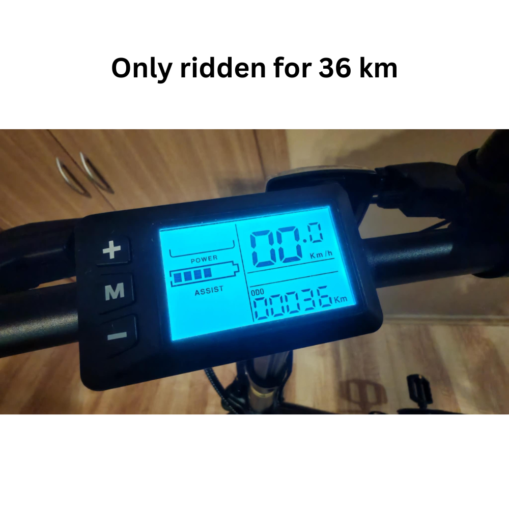 ISINWHEEL U4 ELECTRIC BIKE (REFURBISHED)