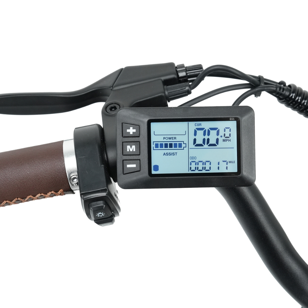 isinwheel U2 Electric Bike