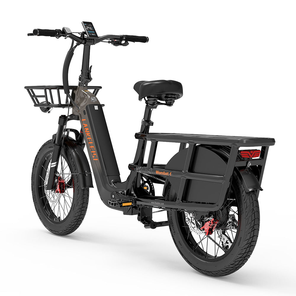 LankeLeisi Wombat-1 Electric Bike