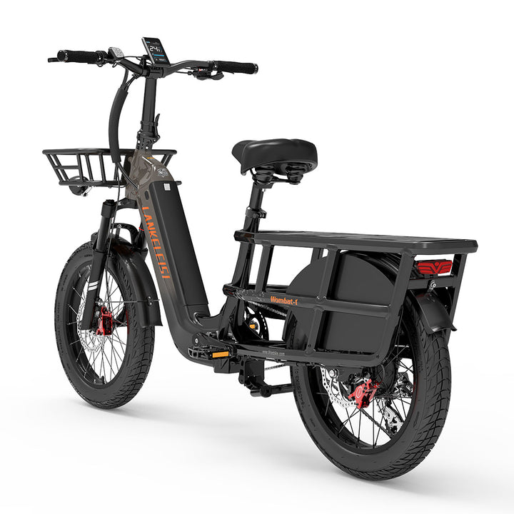 LankeLeisi Wombat-1 Electric Bike