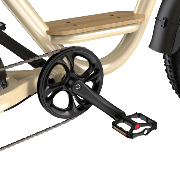 ONESPORT EBIKE W77