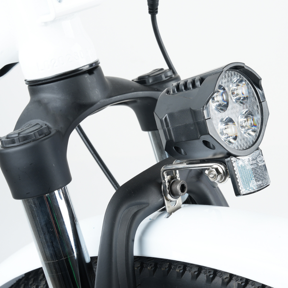 isinwheel U2 Electric Bike