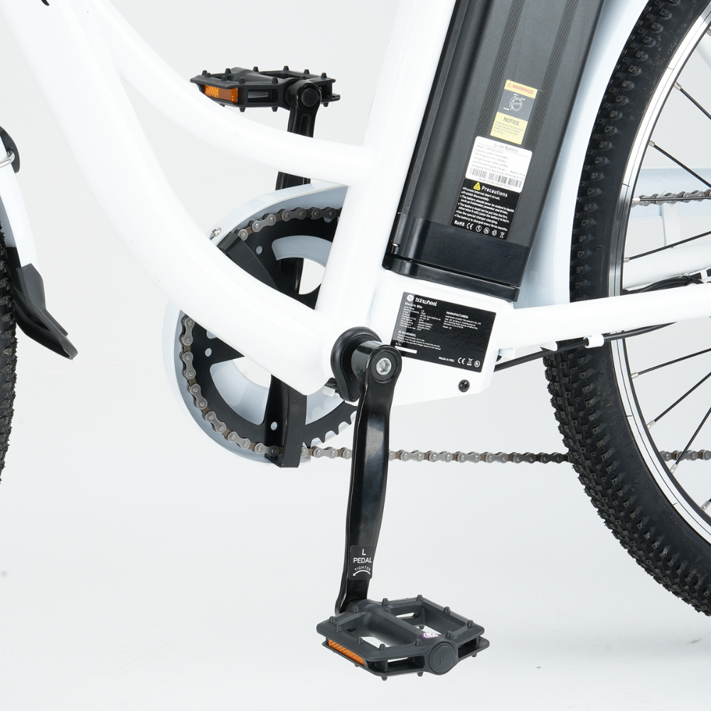 isinwheel U2 Electric Bike
