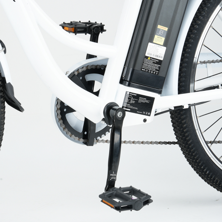 isinwheel U2 Electric Bike