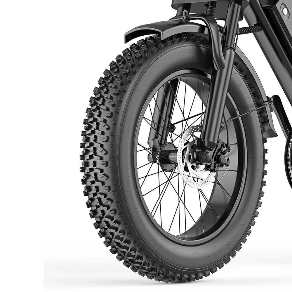 HEARDEER BK20 Electric Bike with 20-Inch Fat Tires, 48V 20Ah Battery, Comfortable E-Bike for Commuting and Outdoor Riding