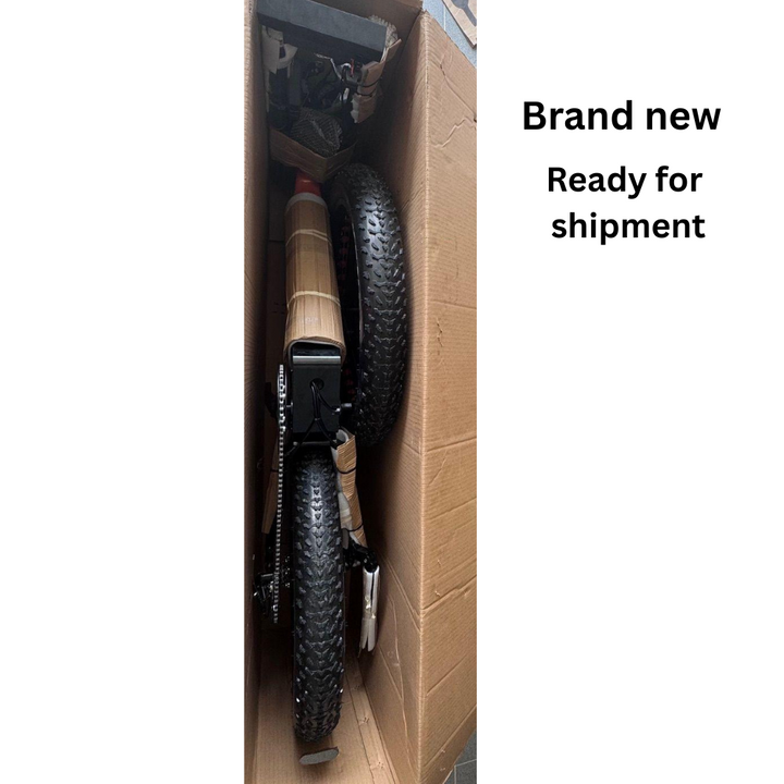 LankeLeisi RV800PLUS Electric Bike (REFURBISHED)