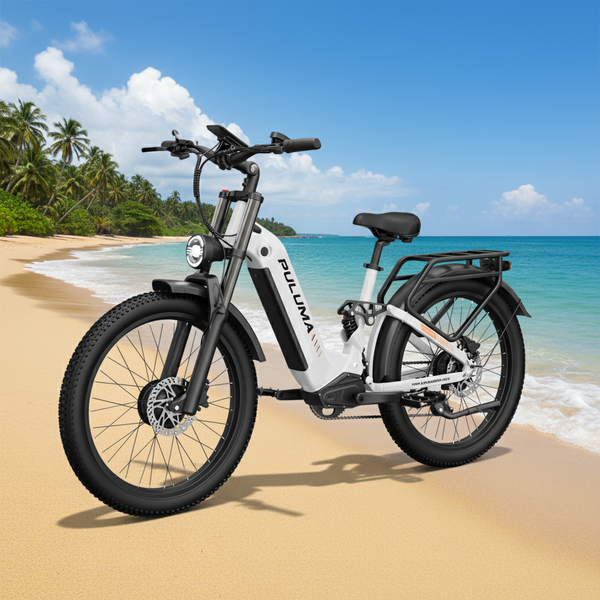 PULUMA PE97 PRO Electric Bike