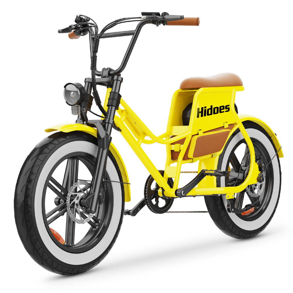 HIDOES C8 Electric Bike