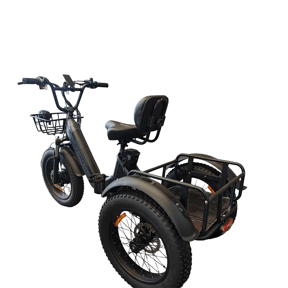 PULUMA SL001 Electric Tricycle