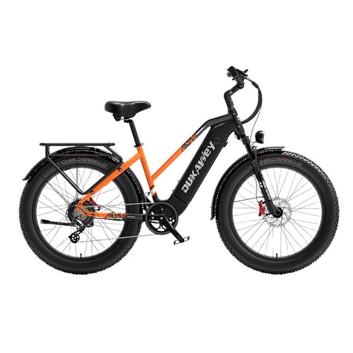 LankeLeisi Dukawey DM530 Plus elektrische fiets 