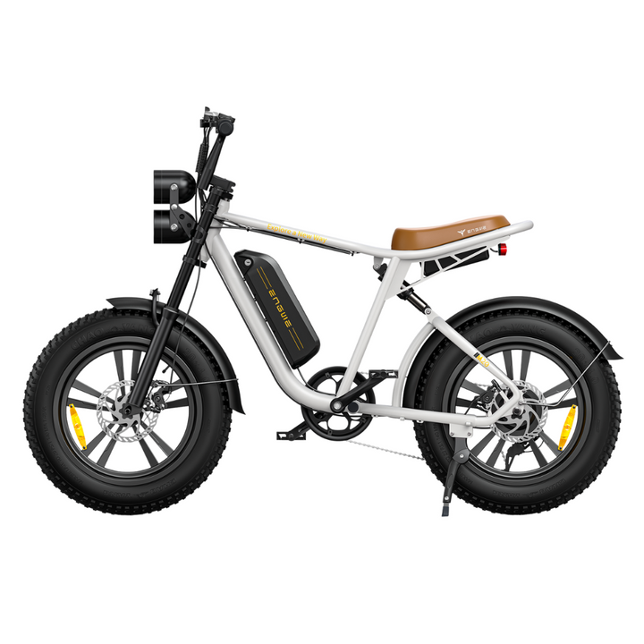 ENGWE M20 Electric Bike