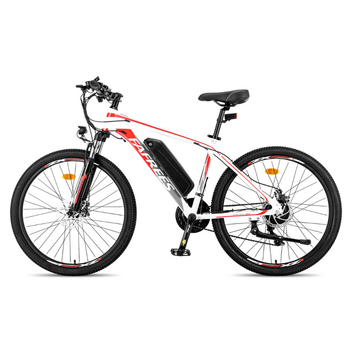 Fafrees Hailong One Electric Bike