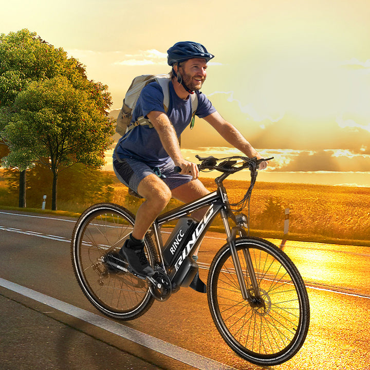 Rincc RN50 Electric bike