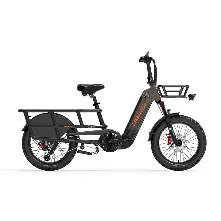 LankeLeisi Wombat-1 Electric Bike
