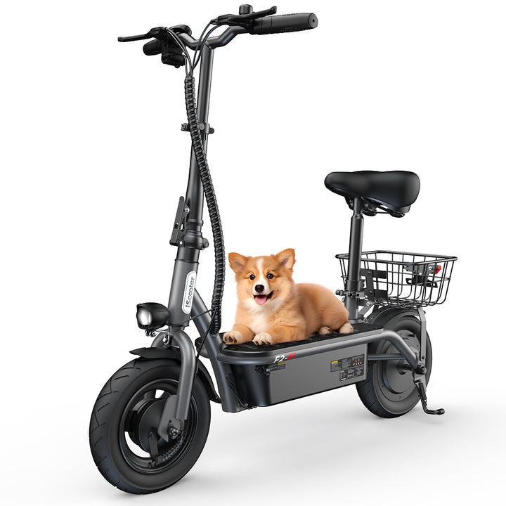 Iscooter F2 Electric Scooter