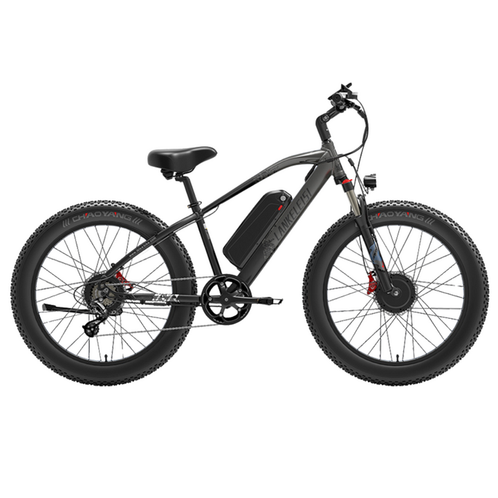 LankeLeisi MG740PLUS elektrische fiets 