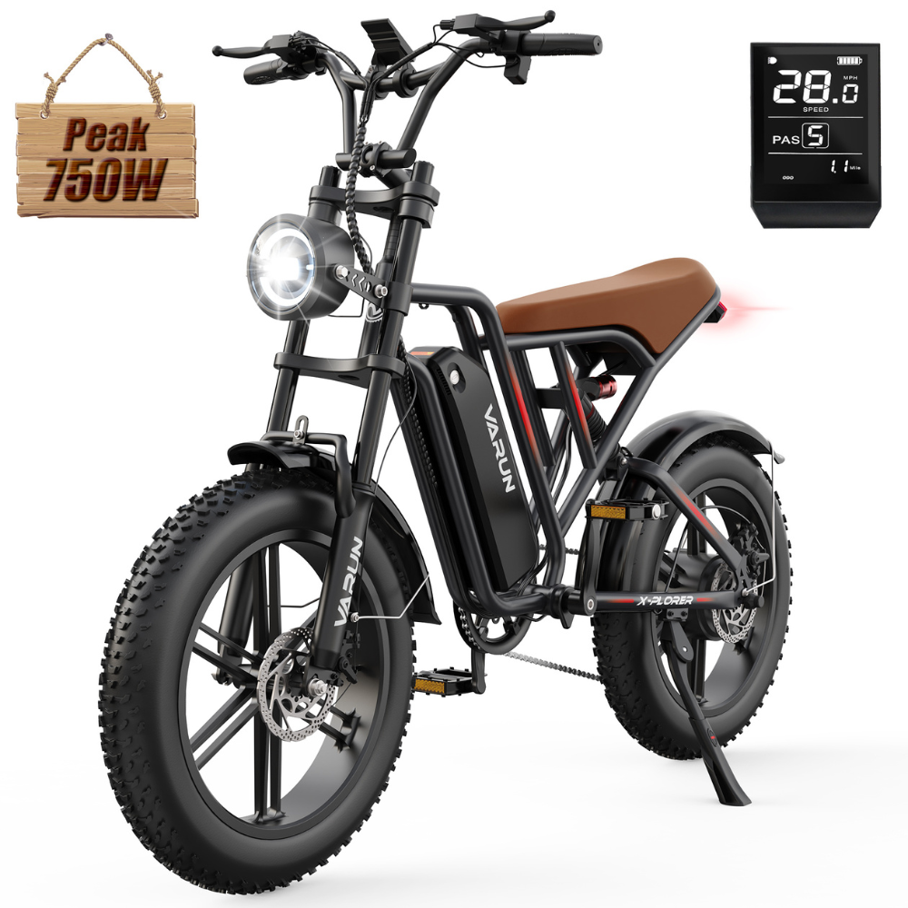 VARUN X-PLORER Electric Bike