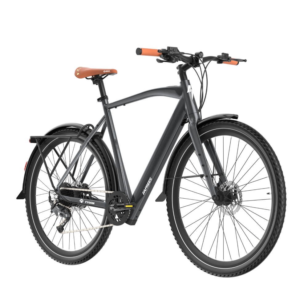 Fafrees F700M Electric Bike
