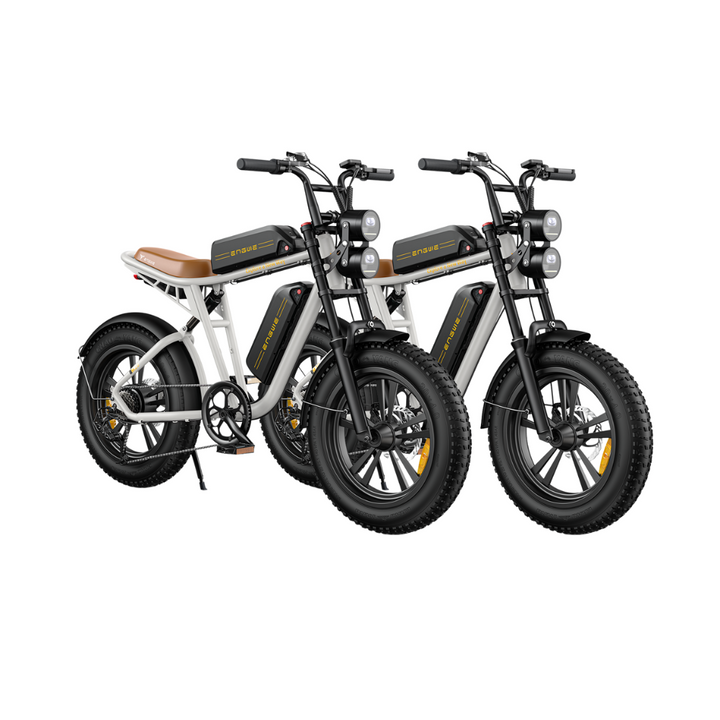 ENGWE M20 Electric Bike