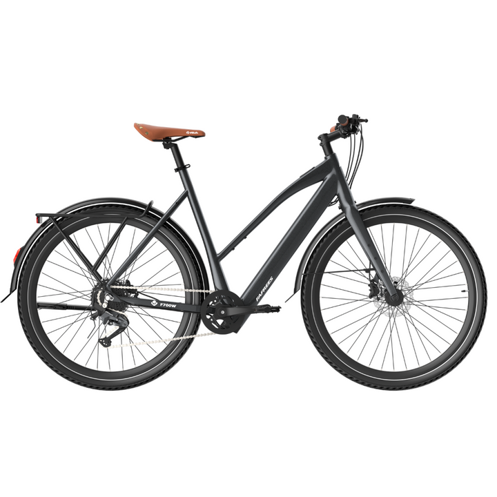 Fafrees F700W Electric Bike